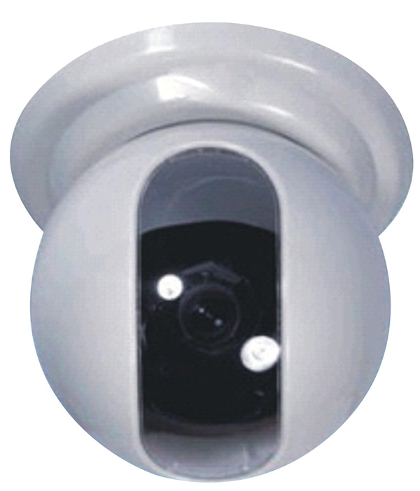 ���ڰ��������